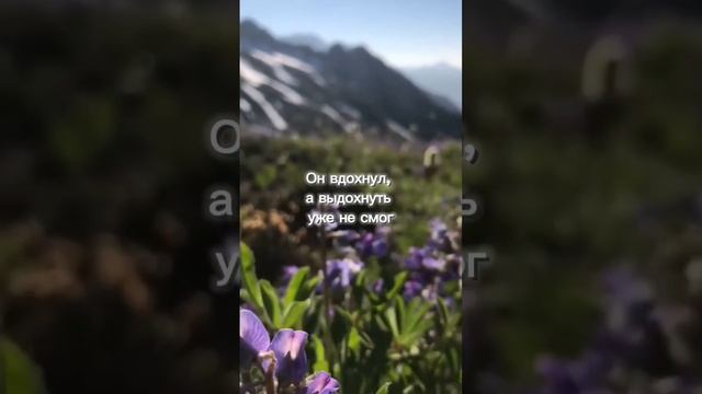 49 серия "Семейные тайны" #активвернись #драко #ти #Эмилли #Аврора смотреть онлайн