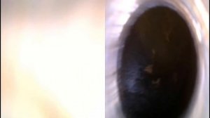 Обзор мотора 3.3 2005 год Япония