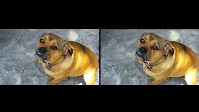 VirtualDub DeShaker - Previous & Future Frames Option смотреть онлайн