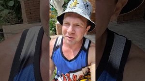 Солнечный удар и особенности гормональной терапии