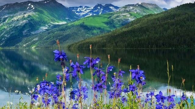 Жена уволилась с работы, как только узнала Истории из жизни Жизненные истории Аудио рассказы смотреть онлайн