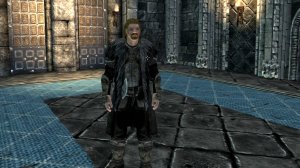 The Elder Scrolls V: Skyrim. Ульфрик Беревестник «Будет весело!». Прохождение от SAFa