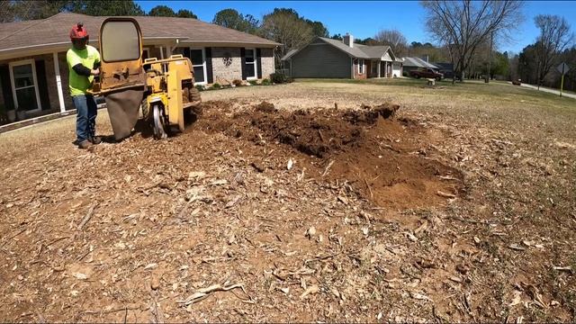 Removal of Two Maple Stumps @ChrissStumpGrinding смотреть онлайн