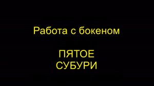 ПЯТОЕ СУБУРИ. Работа с бокеном. Айкидо "Борей"