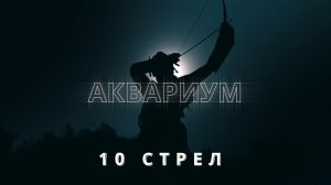 Аквариум, "10 стрел", кавер