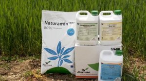 НАТУРАМИН ZN/MN И  ТЕРЕНОВА – МОЩНИТЕ  БИОСТИМУЛАТОРИ НА АГРЕДО ЕООД