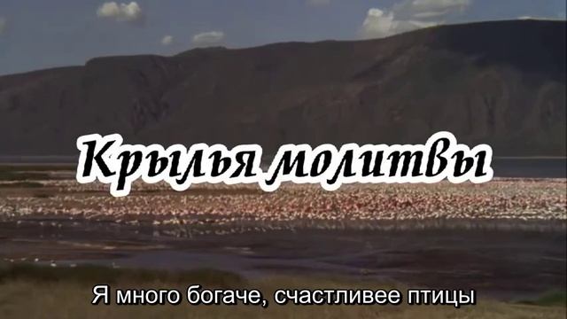 Ксения Лапицкая - Крылья молитвы