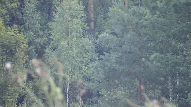 Страйкбольная игра airsoft spēle game ЛАТВИЯ Latvija