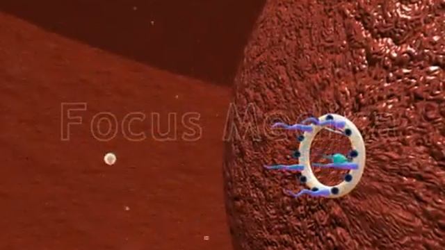 Hepatitis B Animated Atlas смотреть онлайн