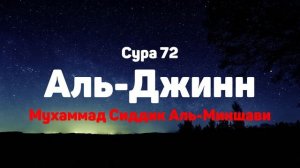 Сура 72 Аль-Джинн - Мухаммад Сиддик Аль-Миншави