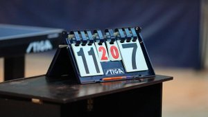 Настольный теннис [Спартакиада трудящихся города Губкинского] 2025