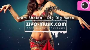 Aram Shaida - Dig Dig Maso