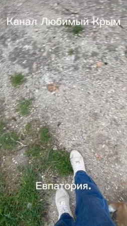 Евпатория сегодня.