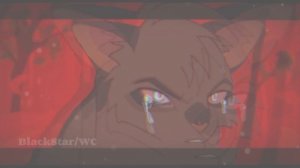 Коты-воители/Эдит