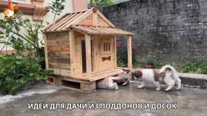 Как сделать будку из поддонов для собак и кошек пошагово своими руками 🪚🪛🔨
