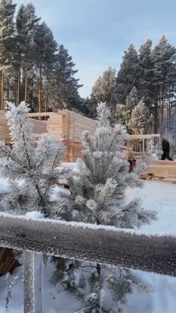 Сборка сруба (с.Моряковский Затон)