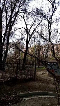 в Москве снег, в Ростове настоящая весна!