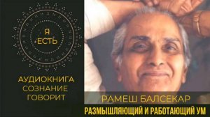 ПОГРУЖЕНИЕ В РАЗЛИЧИЕ МЕЖДУ РАЗМЫШЛЯЮЩИМ И РАБОТАЮЩИМ УМОМ В СЕТЕ  АДВАЙТЫ. #сознание # самопознание