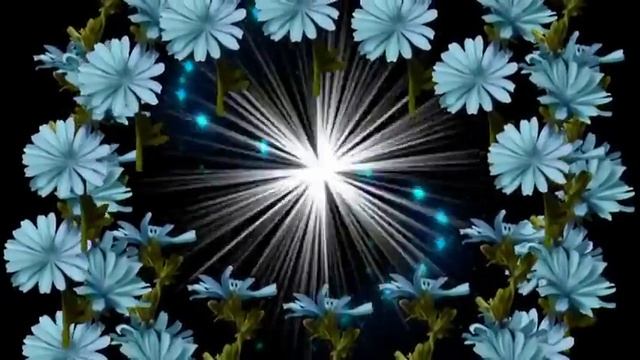 Футаж цветы Produce 39 Proshow producer free, слайд шоу, слайд программа смотреть онлайн