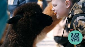 Парк альпак «Пача Мама» на курорте Роза Хутор (Россия)