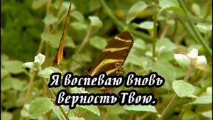 Ксения Лапицкая - В строфах возвышенных