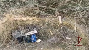 Росгвардейцы уничтожили антенну Starlink ВСУ в лесах Запорожской области: видео