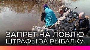 Ограничения на ловлю рыбы в период нереста уже вступили в силу в Новгородской области