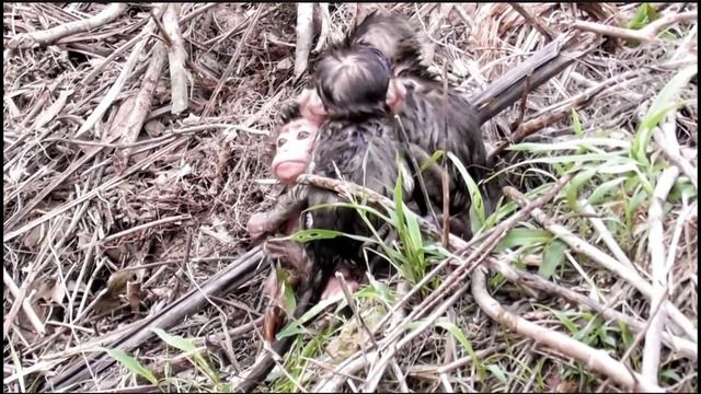 Три богатыря. смотреть онлайн