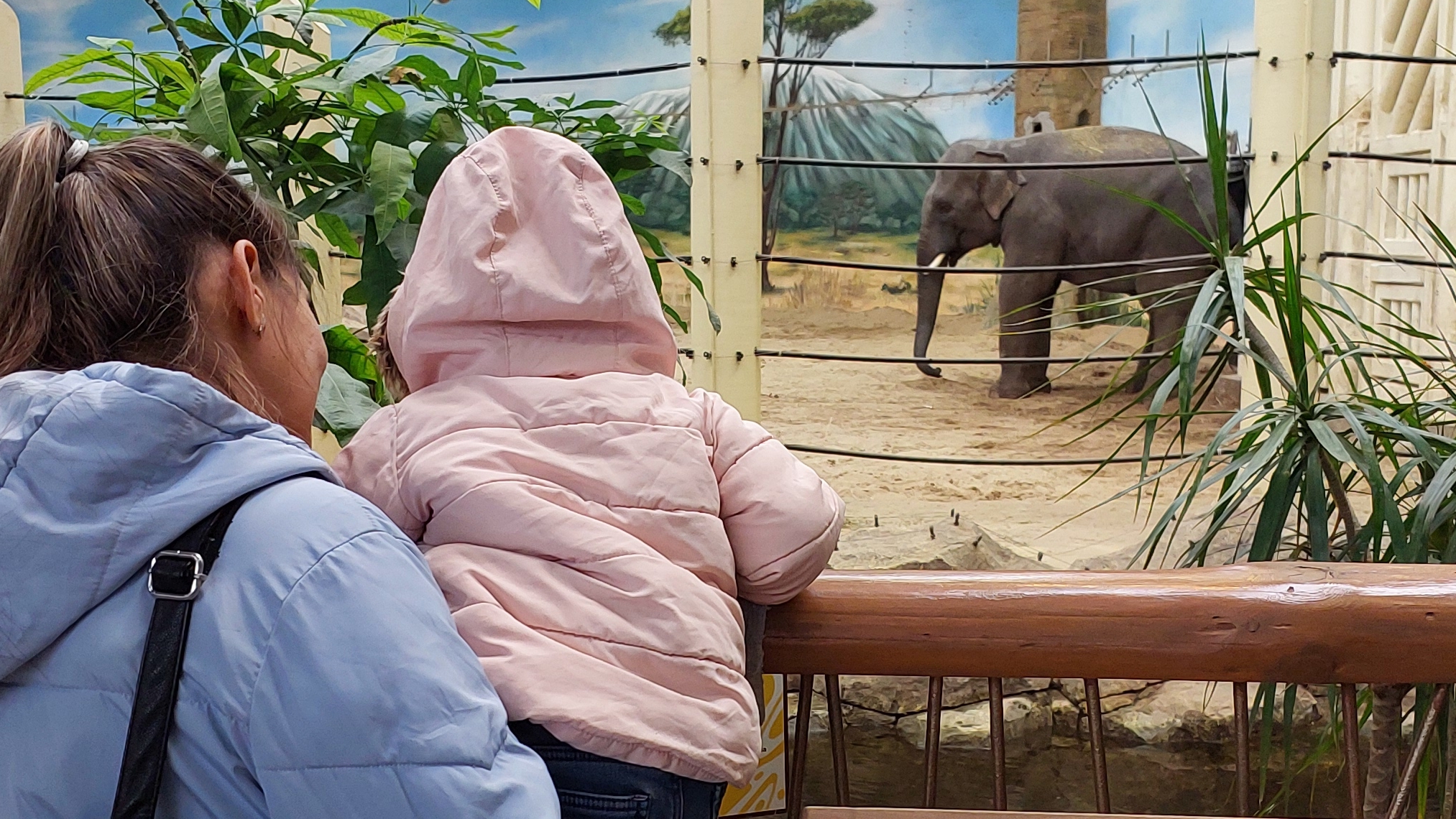 6.04.2025  Зоопарк РЕКА ЗАМБЕЗИ город Казань смотреть онлайн