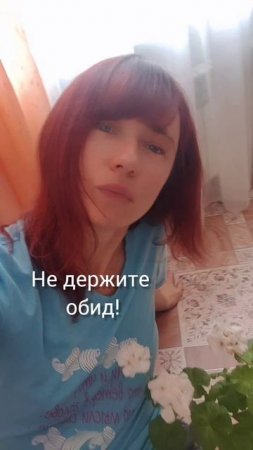 белая герань как невеста расцвела