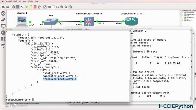 python-napalm-network-automation-en