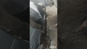 покрас лада Приора хэтчбек