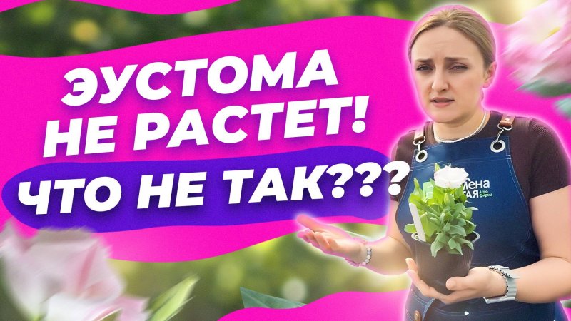 ПОЧЕМУ НЕ РАСТЕТ ЭУСТОМА