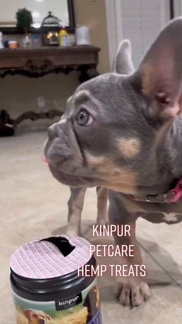 Review On Hip & Joint Chews Kinpur Pet Care