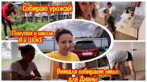 СКОЛЬКО УРОЖАЯ ВЫРОСЛО НА МОИХ ВЫСОКИХ ГРЯДКАХ?/СБОР УРОЖАЯ 2024/