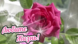 Любите Жизнь!