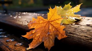 Прости, я ухожу. Станислав Лемешкин