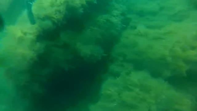 Крым 2015 Diving смотреть онлайн