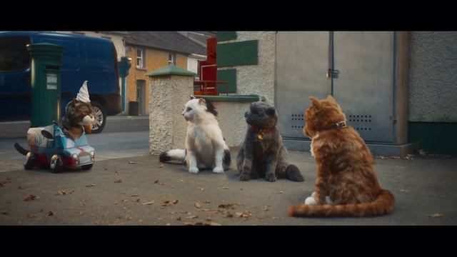 Коты объявили бойкот: мобильный оператор высмеял навязчивых хозяев в новой рекламе