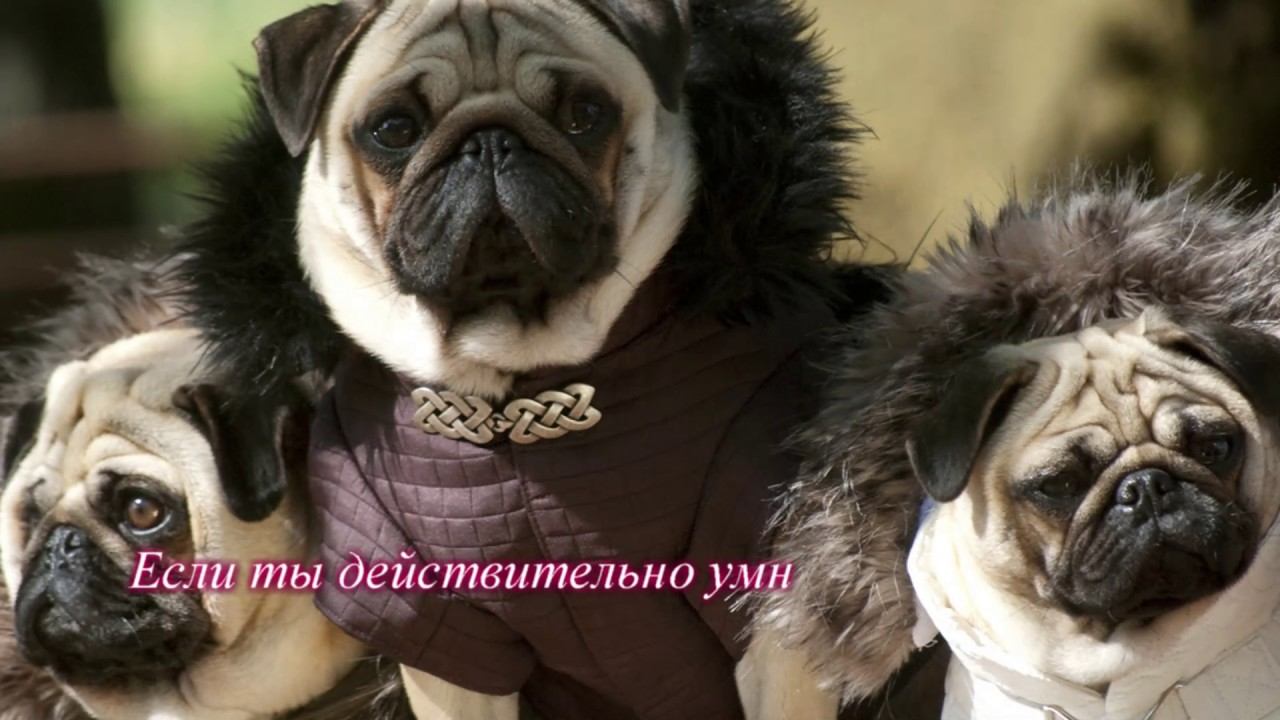 Немного о жизни