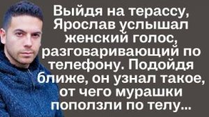Выйдя на террасу, Ярослав услышал женский голос, разговаривающий по телефону. Подойдя ближе, он...