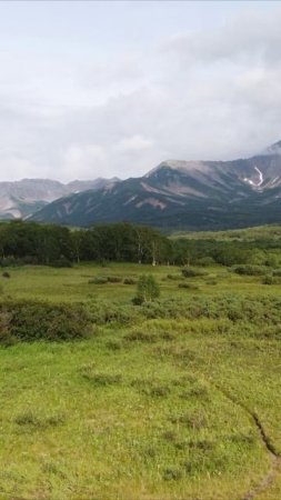 Кордон на Камчатке
