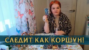 Следит, как коршун! У кого ты на прицеле? | Таро расклад