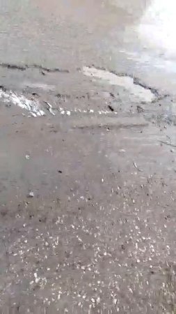 иду с другом на тренировку