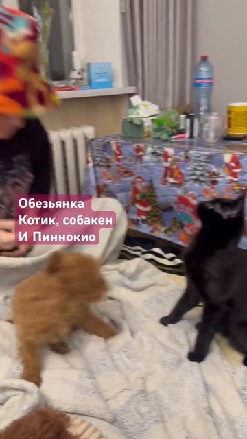 Обезьянка, котик , собакен и Пиннокио смотреть онлайн