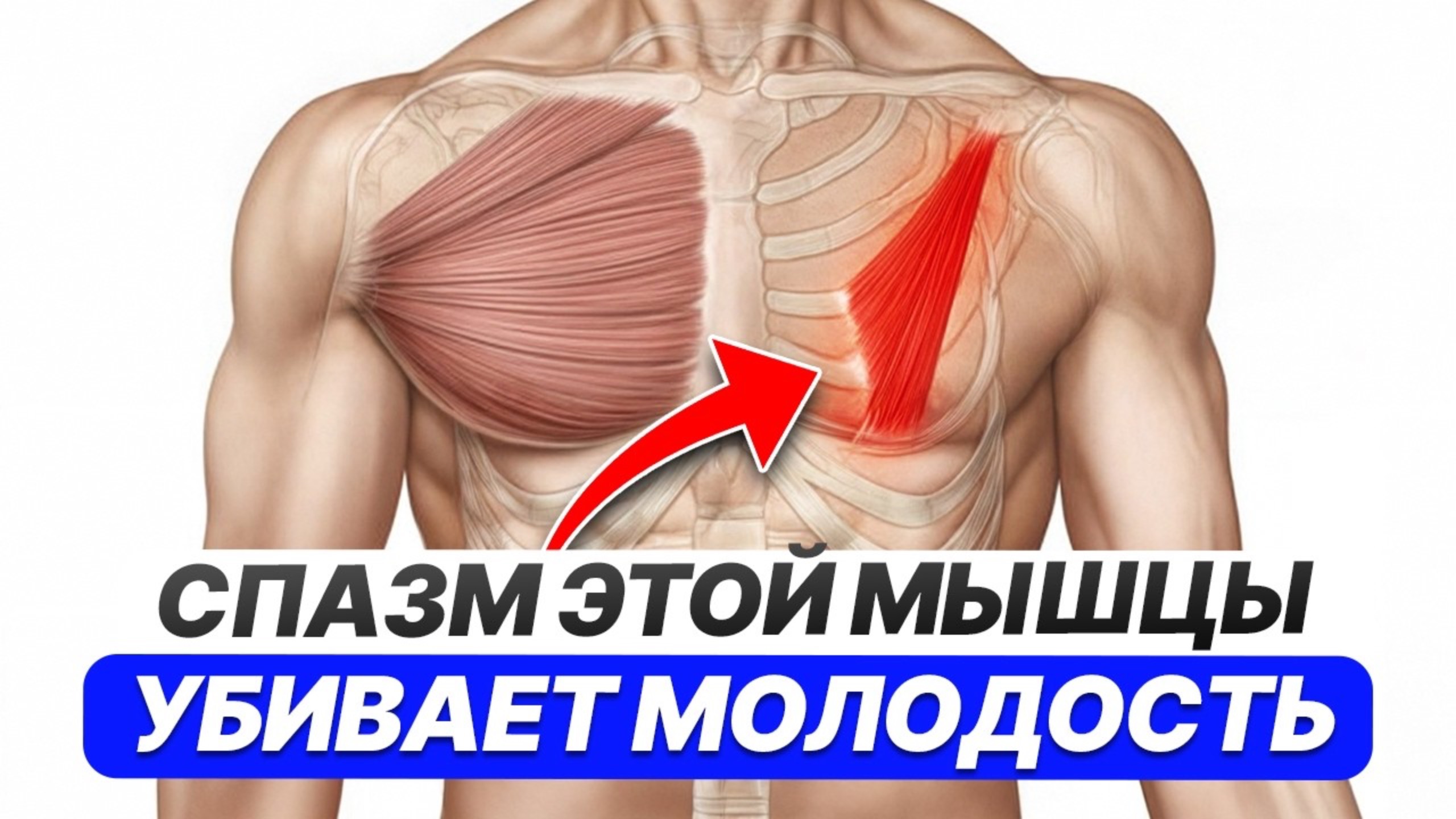 ГЛАВНЫЙ СЕКРЕТ молодости: расслабьте ЭТУ мышцу! / 3 простых упражнения для омоложения и здоровья!