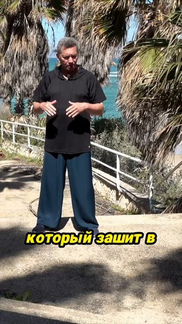 Практика тайцзи для здоровья и долголетия смотреть онлайн