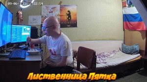 ПЯТК КУШАЕТ ПЕЛЬМЕНИ I ЛИСТВЕННИЦА ПЯТКА