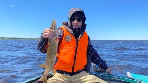 Ловля хищника троллингом. Весенняя рыбалка на реке Свирь 2020