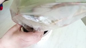 Результаты укоренения Кротона, спустя три недели